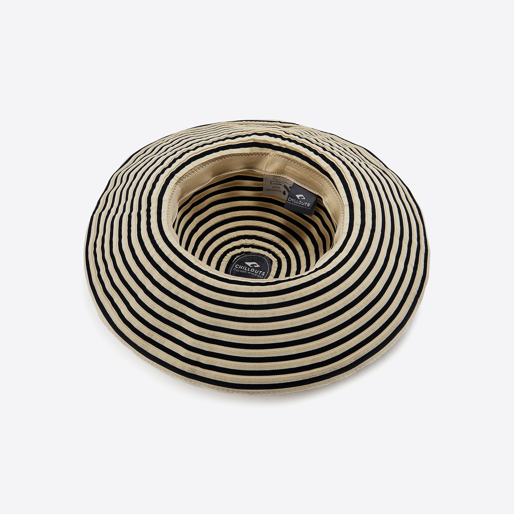 Sonnenhut "Freeland"