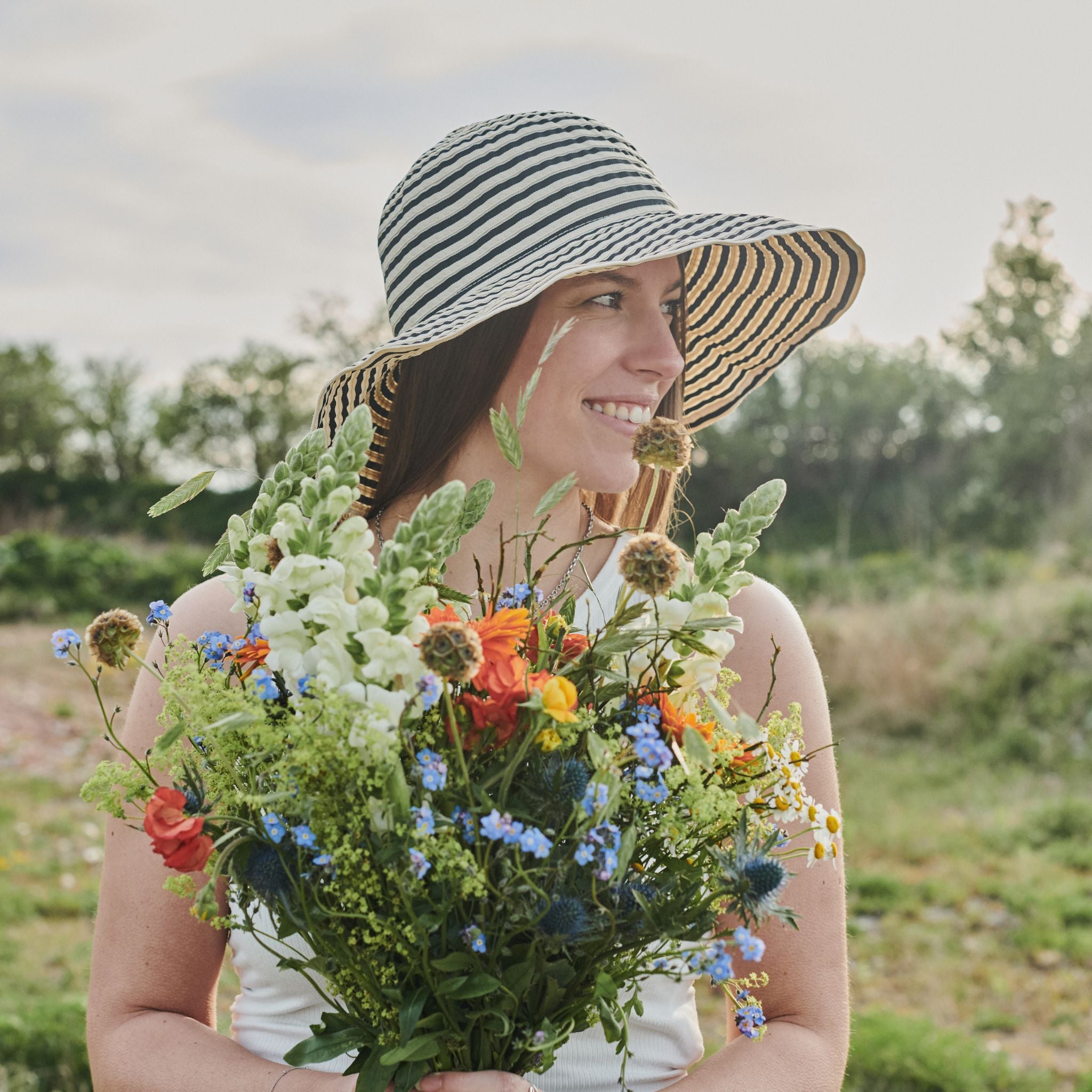 Sonnenhut "Freeland"