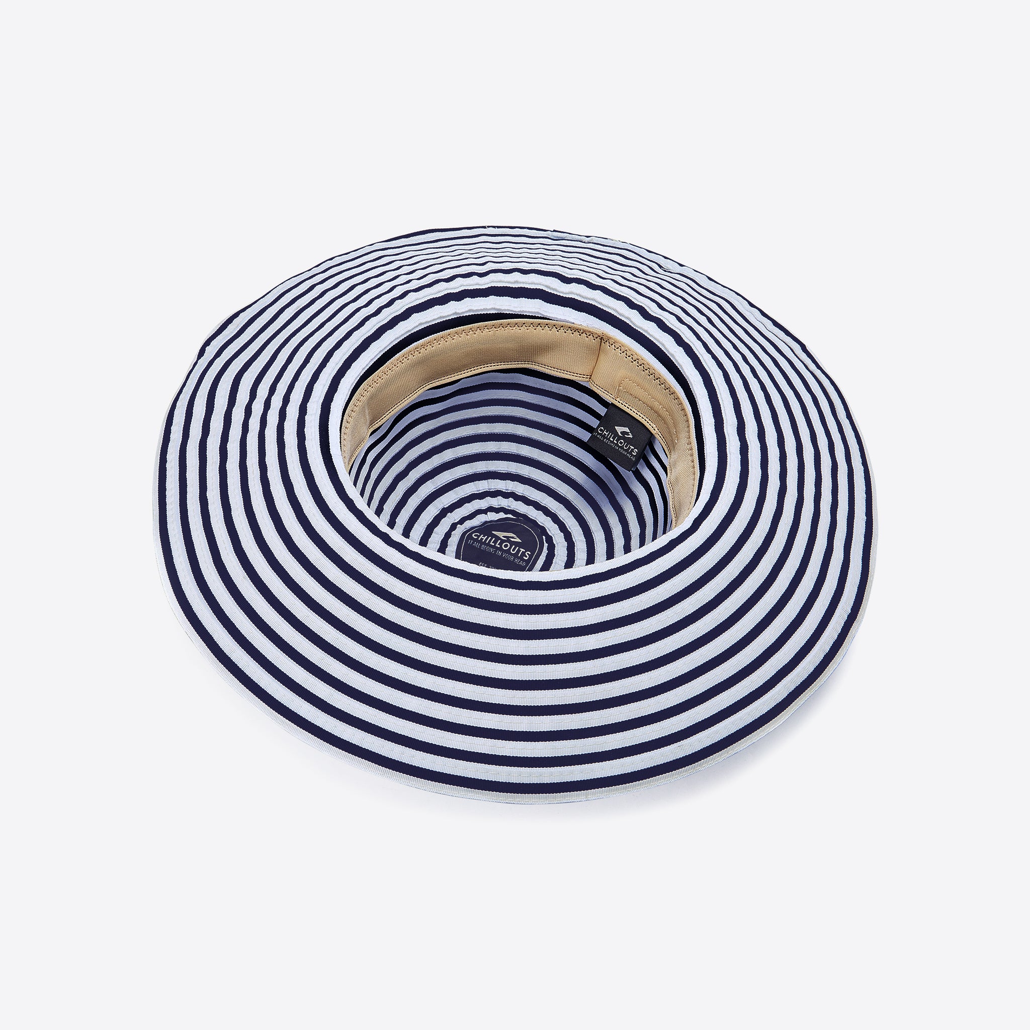 Sonnenhut "Freeland"