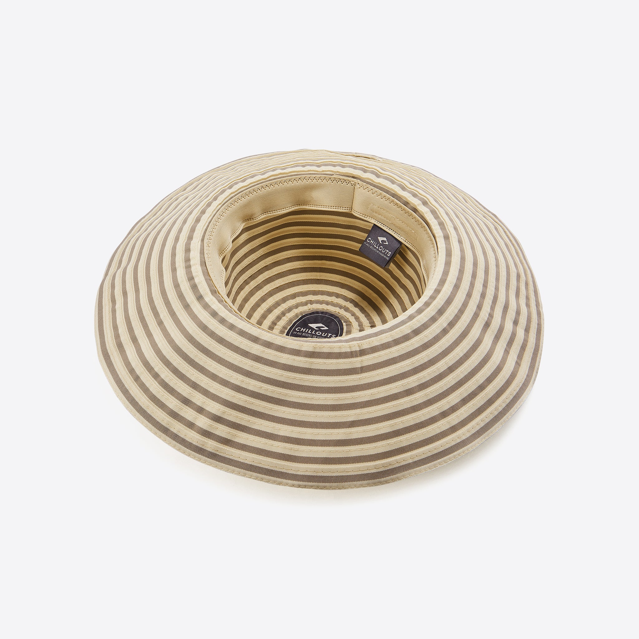 Sonnenhut "Freeland"